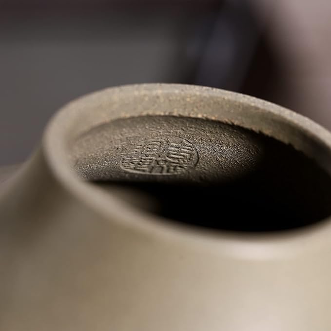 SILINE Zisha Small Teapot,Chinese Genuine Yixing Clay Teapot 7.9 Oz, Infuse Brew Kung Fu Loose Leaf Tea Maker -Yunlu,Cyan Cla