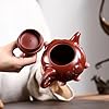 SILINE Luxury Yixing Clay Teapot 12 Oz,Chinese Official Senior Master Handmade Zisha Tea Pot with Collection Certificate and Gift Box (Fish Dragon,Zhuni Red Clay)